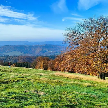 Dom Na Gorce W Beskidach - Apartamenty, *