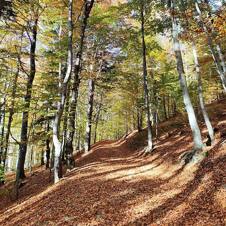 Dom Na Gorce - W Beskidach Gorki Wielkie