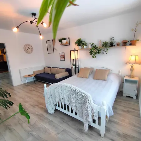 Dom Na Górce W Beskidach - Apartamenty, Apartmán *