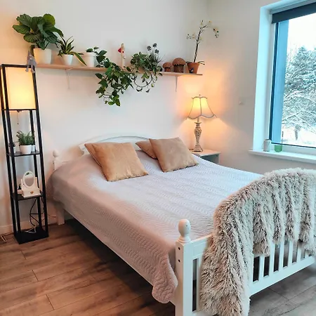 Dom Na Górce W Beskidach - Apartamenty,