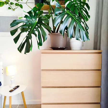 Dom Na Górce W Beskidach - Apartamenty, *