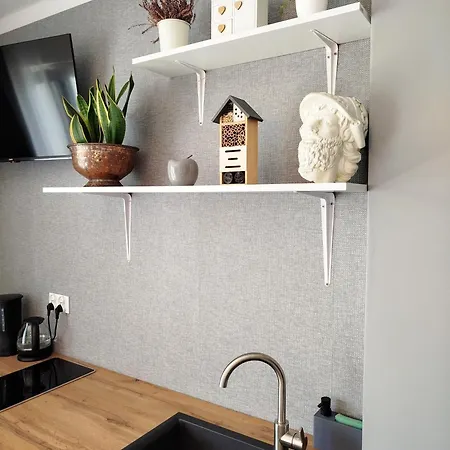 Apartamento Dom Na Górce W Beskidach - Apartamenty, *