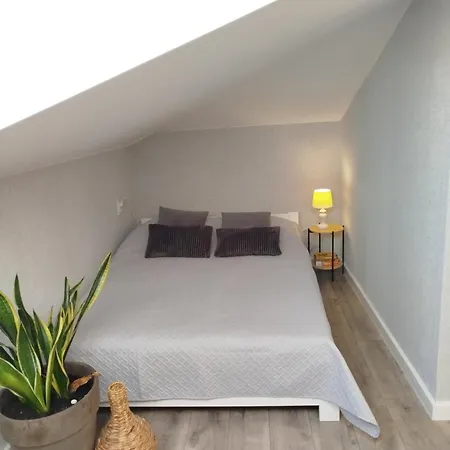 Dom Na Gorce W Beskidach - Apartamenty,